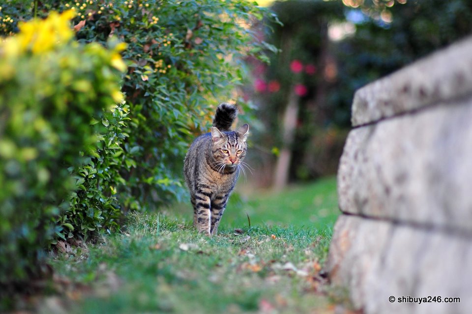 Time to go find something to eat maybe.