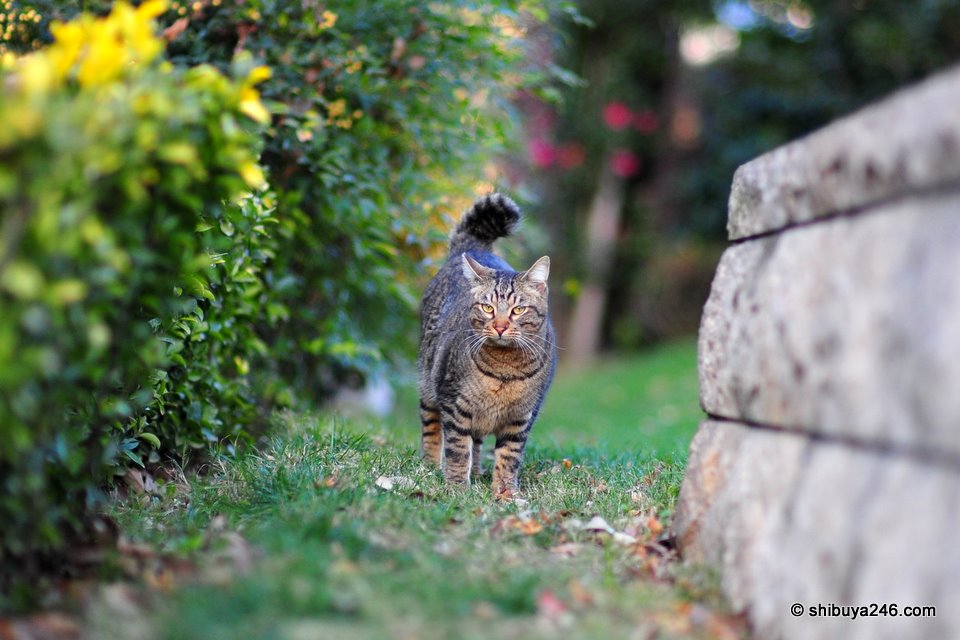 ok, I see you down there. What are you doing in my area?