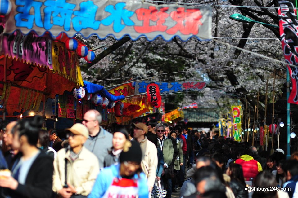 So many people passing down this thin walkway to the Shrine. The stalls selling food were doing a great trade.