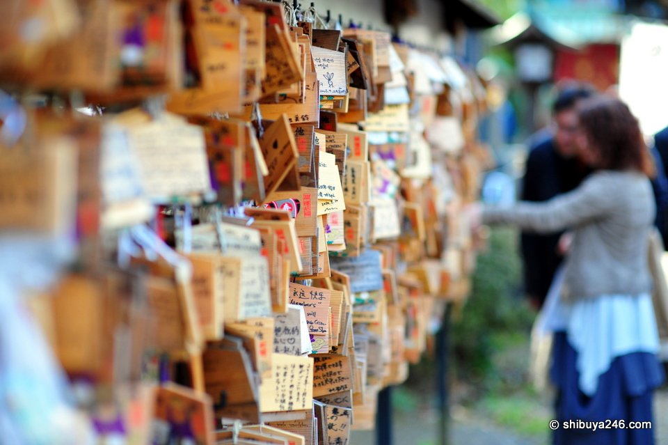 Lots of wishes being written up here with people hoping they come true.