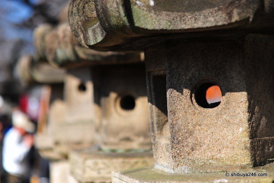 Some of the 50 stone lanterns that line the road to the Toshogu Shrine.